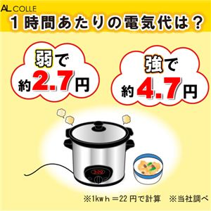 AL COLLE（アルコレ） 　スロークッカー・タイマー付煮込み名人(直火対応!) ASC-T25