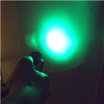 Energizer（エナジャイザー） ハードケースプロフェッショナル 高輝度4LED首振りライト PROSW2A