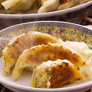 ご当地グルメ!浜松餃子学会認定「浜松餃子」45個入