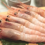 【お歳暮用 のし付き(名入れ不可) 生食可能】天然甘えび 刺身用1kg(4Lサイズ・40尾前後)