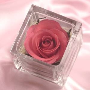 【4月27日予約分まで5月9日お届け可能　2010年母の日予約開始】草加煎餅DEお母さんありがとう・一輪のバラの花付