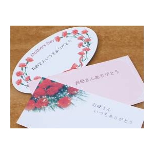 【母の日限定ギフト】カーネーション鉢 生産者厳選!ラッピング・リボン・かご入り・カード付き