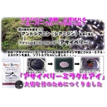 アサイベリー　ミラクルアイ（330mg×33粒入）×6袋セット