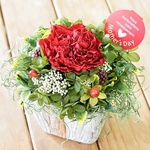 【5月2日で予約終了　母の日限定　30個限定】カーネーションプリザーブドフラワーアレンジメント☆メッセージカード付