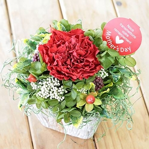 【5月2日で予約終了　母の日限定　30個限定】カーネーションプリザーブドフラワーアレンジメント☆メッセージカード付