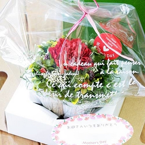 【5月2日で予約終了　母の日限定　30個限定】カーネーションプリザーブドフラワーアレンジメント☆メッセージカード付