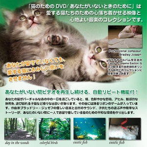 猫のためのDVD / あなたがいないときのために　