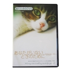 猫のためのDVD / あなたがいないときのために