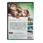 猫のためのDVD / あなたがいないときのために