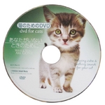 猫のためのDVD / あなたがいないときのために