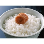 平成22年産新米!千葉県産コシヒカリ精米10kg