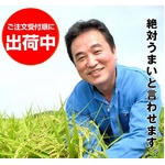 平成22年産新米！千葉県産コシヒカリ精米10kg