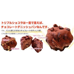 TVで話題に!トリプルショコラ・リッチ5個セット