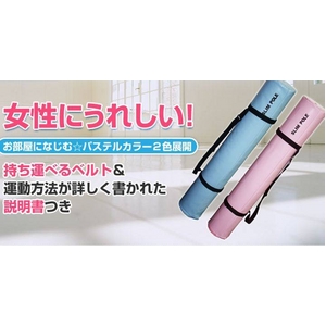 SLIM POLE（スリムポール）「ダイエットポール、ヨガポール」 スカイブルー