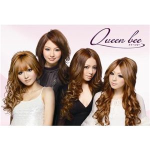 新感覚ヘアーウィッグ クイーンビー【ドライヤー,アイロン可】ダークショコラ