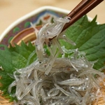 「生ちりめん」 極鮮冷凍!! 豊後水道大分県産 100g×5袋