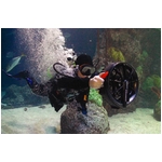 軽量&小型水中スクーター ブレードフィッシュ