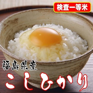 【味と価格に自信アリ!】極上一等米!平成21年産 福島県産こしひかり玄米30Kg
