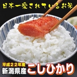 【お歳暮用　内のし付き（名入れ不可）　平成22年産新米 味と価格に自信アリ!】新潟県産こしひかり 白米20Kg（5kg×4）
