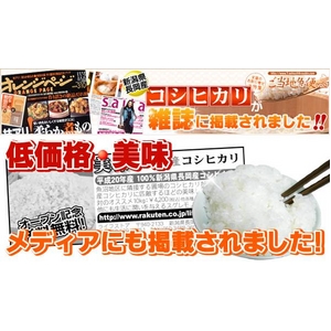 平成22年産新米！【お試しにも！】新潟県長岡産コシヒカリ5ｋｇ 