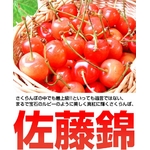【訳あり】ふぞろいの山形県産さくらんぼ 佐藤錦 350g×2P