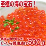 【お歳暮用 のし付き】お徳用!ぷっちぷちのいくらの醤油漬500g
