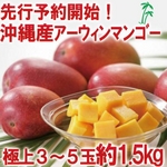 【7月1日までの完全予約販売　早期予約限定価格　訳あり】★沖縄産　糖度１３度以上★美味しい訳ありマンゴー1.5キロ(3玉?5玉)