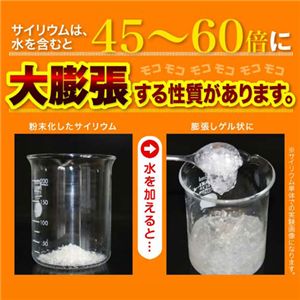 栄養満点 朝食マンゴーダイエット 2010年限定