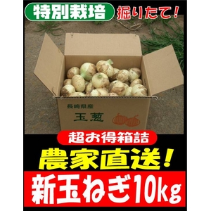 特別栽培農家直送「新玉ねぎ」10kg