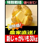 特別栽培農家直送「新じゃがいも」M～2Lサイズ 30kg（10kg箱×3）