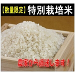 【数量限定】特別栽培農家から“ひのひかり