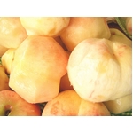 【9月17日で終了】 フルーツ王国福島の最上級極甘プレミアム桃  お口いっぱいに広がる果汁とジューシーでとろける果肉♪福島が誇る最上級極甘桃！【高糖度】 ２キロ　【６～９個】 