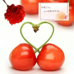 【4月30日で予約終了　母の日限定】メッセージカード付き　さくらんぼ佐藤錦24粒と生花カーネーションのセット