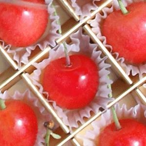 【4月30日で予約終了　母の日限定】メッセージカード付き　さくらんぼ佐藤錦24粒と生花カーネーションのセット