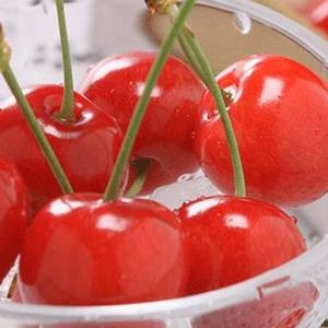 【4月30日で予約終了　母の日限定】メッセージカード付き　さくらんぼ佐藤錦24粒と生花カーネーションのセット