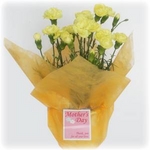 【母の日ギフト!5月5日まで!】カーネーション 黄系 ラッピング 5号鉢
