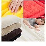 mofua（モフア） プレミアムマイクロファイバー毛布（NT） シングル アイボリー