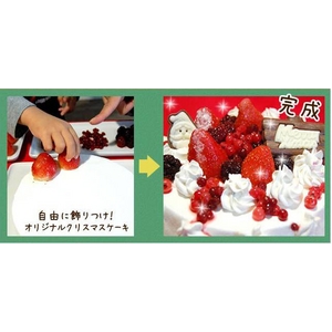 【12月17日で予約終了　2010年クリスマス向け】オリジナルのクリスマスケーキが作れちゃう 手作りケーキセット