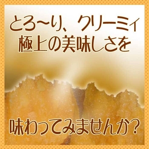 【種子島産】安納いも5kg（25個前後）