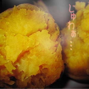 【種子島産】安納いも5kg（25個前後）