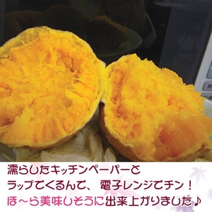 【種子島産】安納いも5kg（25個前後）