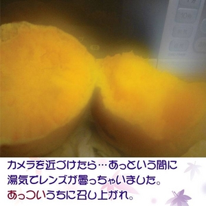 【種子島産】安納いも5kg（25個前後）