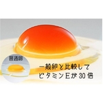 こだわり卵　30個