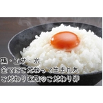 こだわり卵　30個