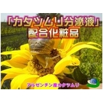 【日本製】かたつむり（エスカルゴ）エキス配合 エスカルシリーズトライアルセット 小悪魔アゲハモデルみきてぃ＆ちひろオススメ 