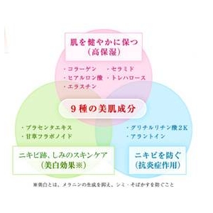 背中用美肌ゲル 背綺麗～セキレイ～ 【医薬部外品・無添加】 60g