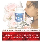 カルフィル 【1本】