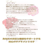 カルフィル 【1本】