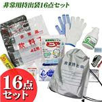 非常用持出袋16点セット