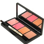 BOBBI BROWN（ボビイブラウン） リップ グロス パレット 4g